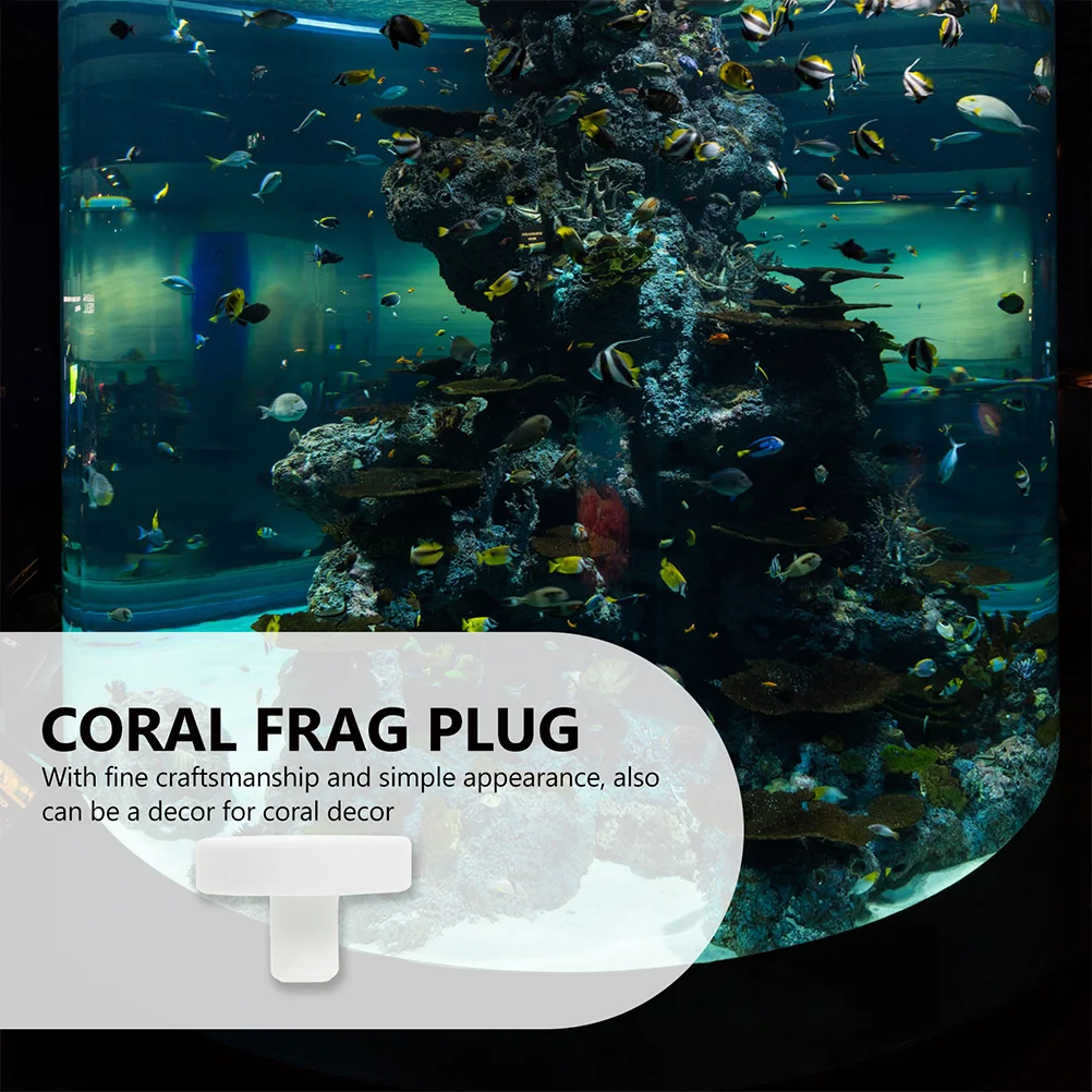 20 Stück Aquarium Korallen basis Dekoration Pflege liefert Frag Plug Reproduktion Keramik Aquarium Unterstützung – Detail 6