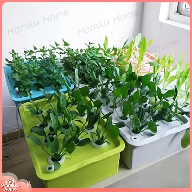 24 Hole Hydroponic System Kit for Indoor Gardening Soilless Plant Growing Setup Seedling Starter Tray Nursery Pots Grow Box