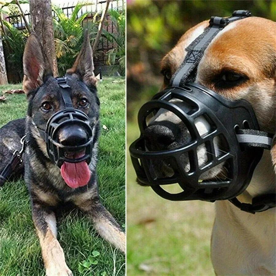 #16 Top Rated Dog Muzzles to Buy in 2026
