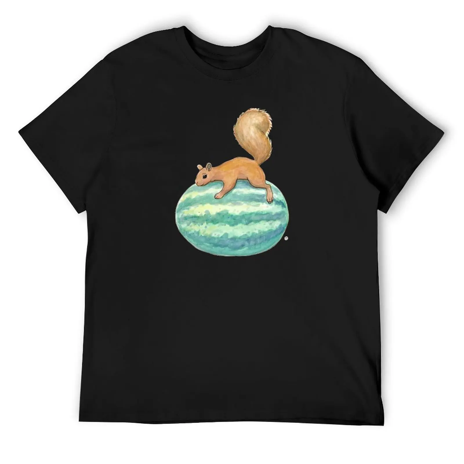 

Squirrel & Watermelon T-Shirt graphic t shirts customs design your own man clothes cotton t shirt men