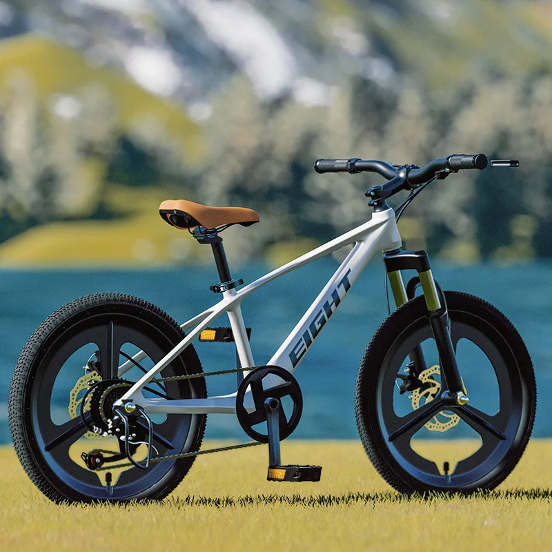 LazyChild Magnesium Alloy 20 Inch Children's Mountain Bike One Wheel Student Sports Bike Leisure Mountain Bike DropShipping