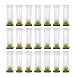 Queen Rearing Cage Protective Cover For Hatched Sealed Cell Cup Hair Roller Cage Anti Worker Bees Bite Installed In Frame Tools