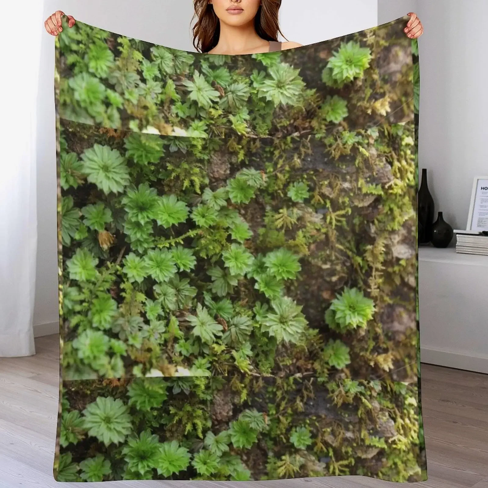 

Fern-like Moss closeup on forest floor Throw Blanket Plaid on the sofa Baby Bed Fashionable Comforter Blankets