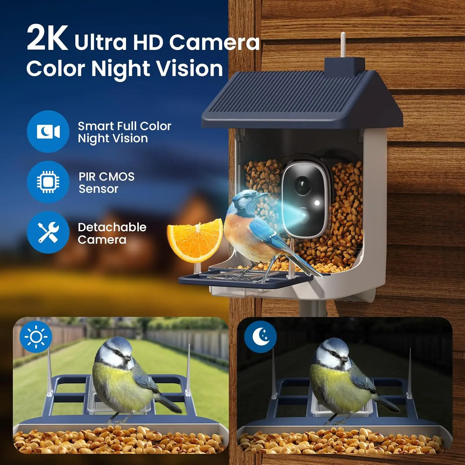 Solar-Powered Smart Bird Feeder with 2K Camera, AI Bird ID & Instant Alerts for Outdoor Bird Watching photo 4