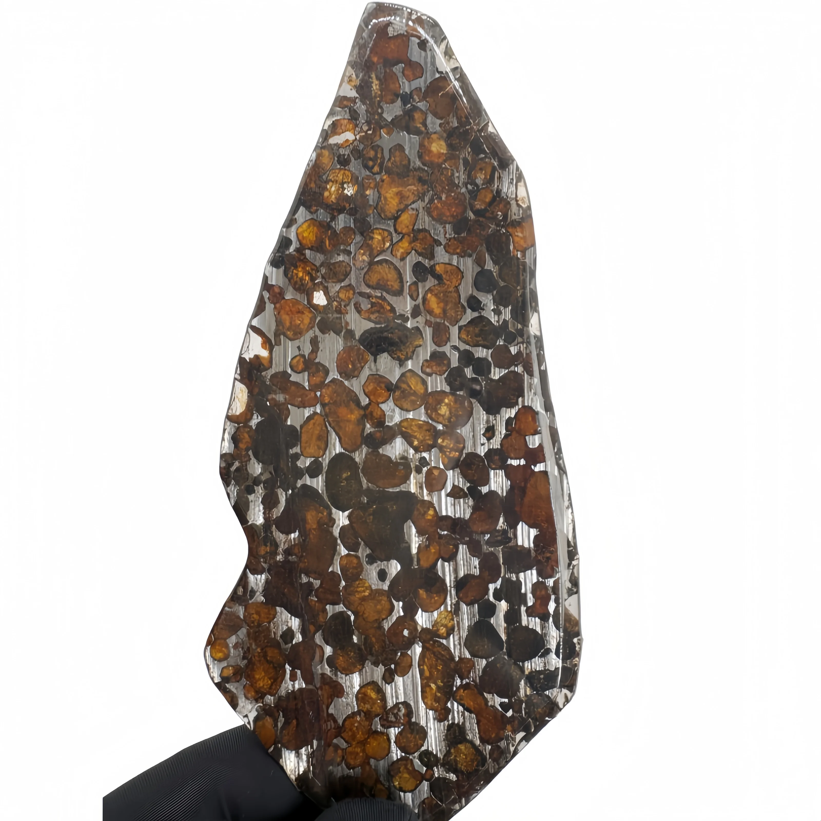67.7g Sericho Pallastie meteorite slice Olivine Meteorite Natural Specimen Meteorite material Collection - from Kenya -QA805