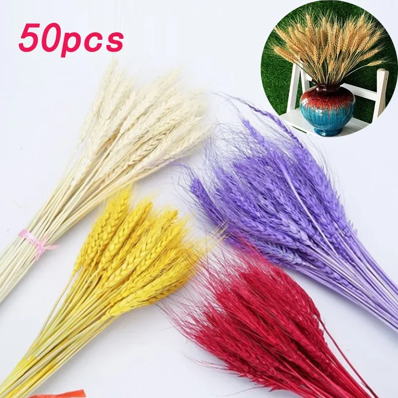 Wheat Ear Flower Decoration Natural Pampas Rabbit Tail Grass Dried Flowers For Wedding Party DIY Craft Scrapbook Bouquet Flowers