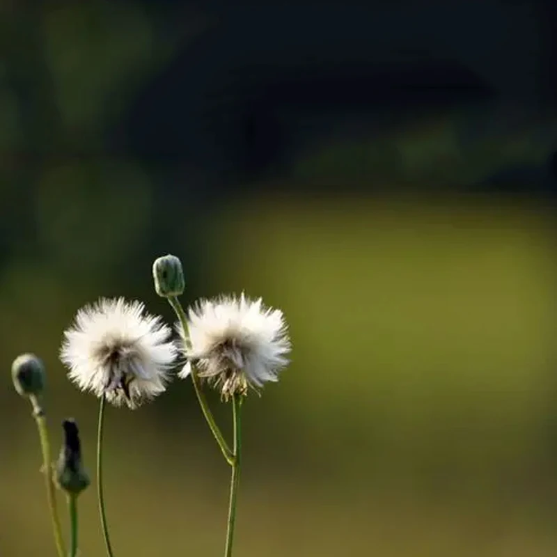 Tuya جرس الباب مع غطاء المطر الشمسي كاميرا واي فاي مقاوم للماء لاسلكي المنزل إنترفون فيديو العين كاميرا فتحات الباب الرقمي
