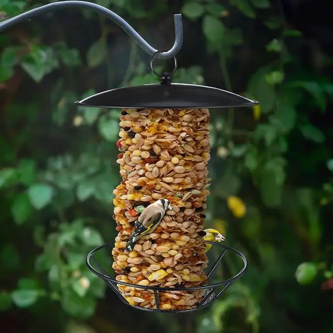 Cylinder Hanging Iron Bird Feeder for Garden Outdoor Wild Birds Squirrels Seed Cake
