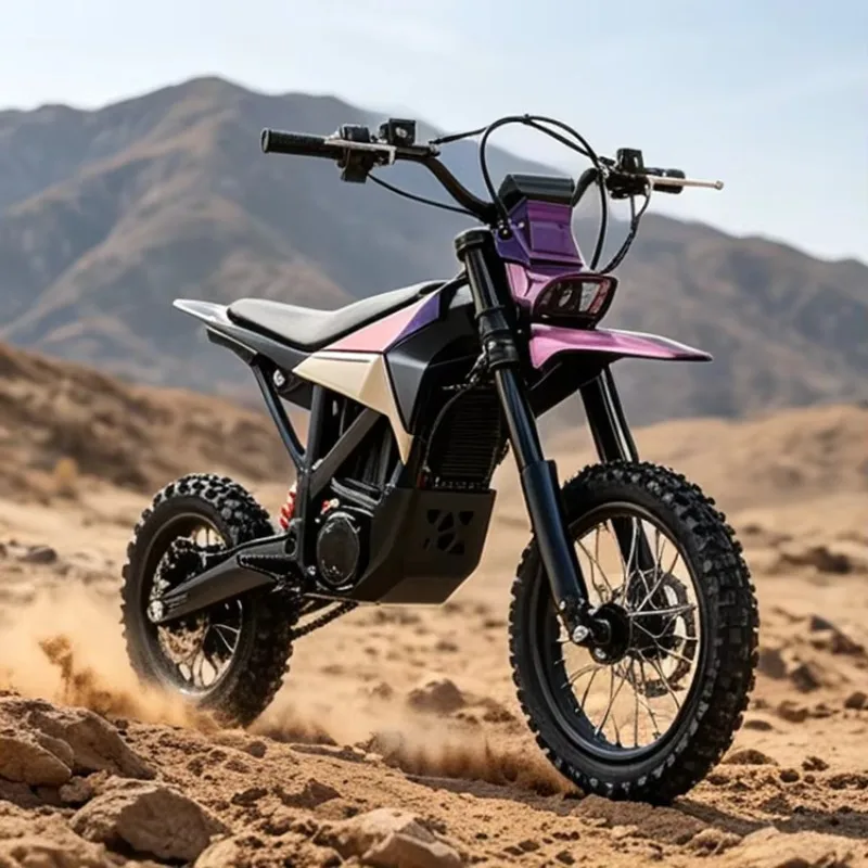 Rs Stylish matte appearance 280Nm high-speed electric off-road vehicle, suitable for adult outdoor adventure photography and off