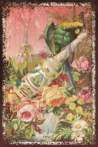 Florida Water Advert Green Parrot & Fountain Vintage Look Retro Style Metal Sign