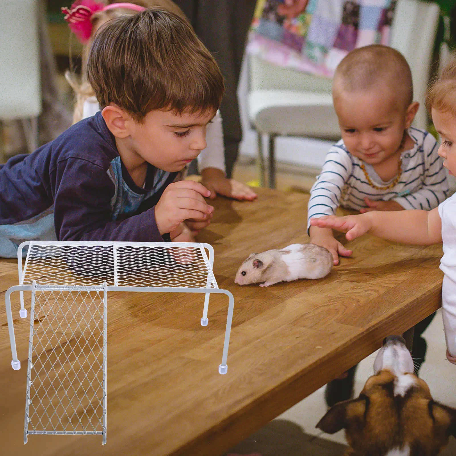 

1Set Stainless Steel Rutin Chicken Platform with Ladder Cage Decor for Small Pets Bite-Resistant Climbing Exercise Play