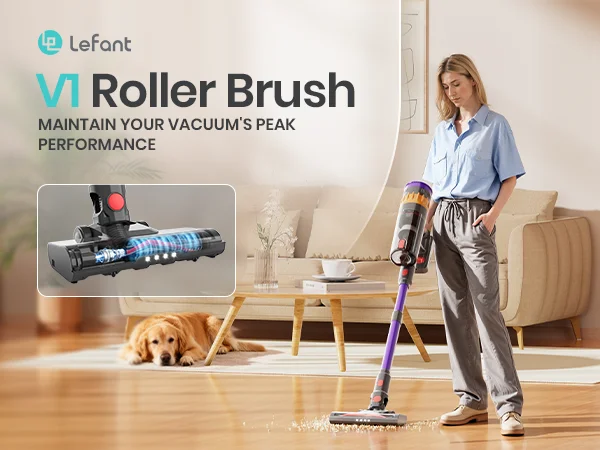 LEFANT Rollenbürste für V1 – Detail 1