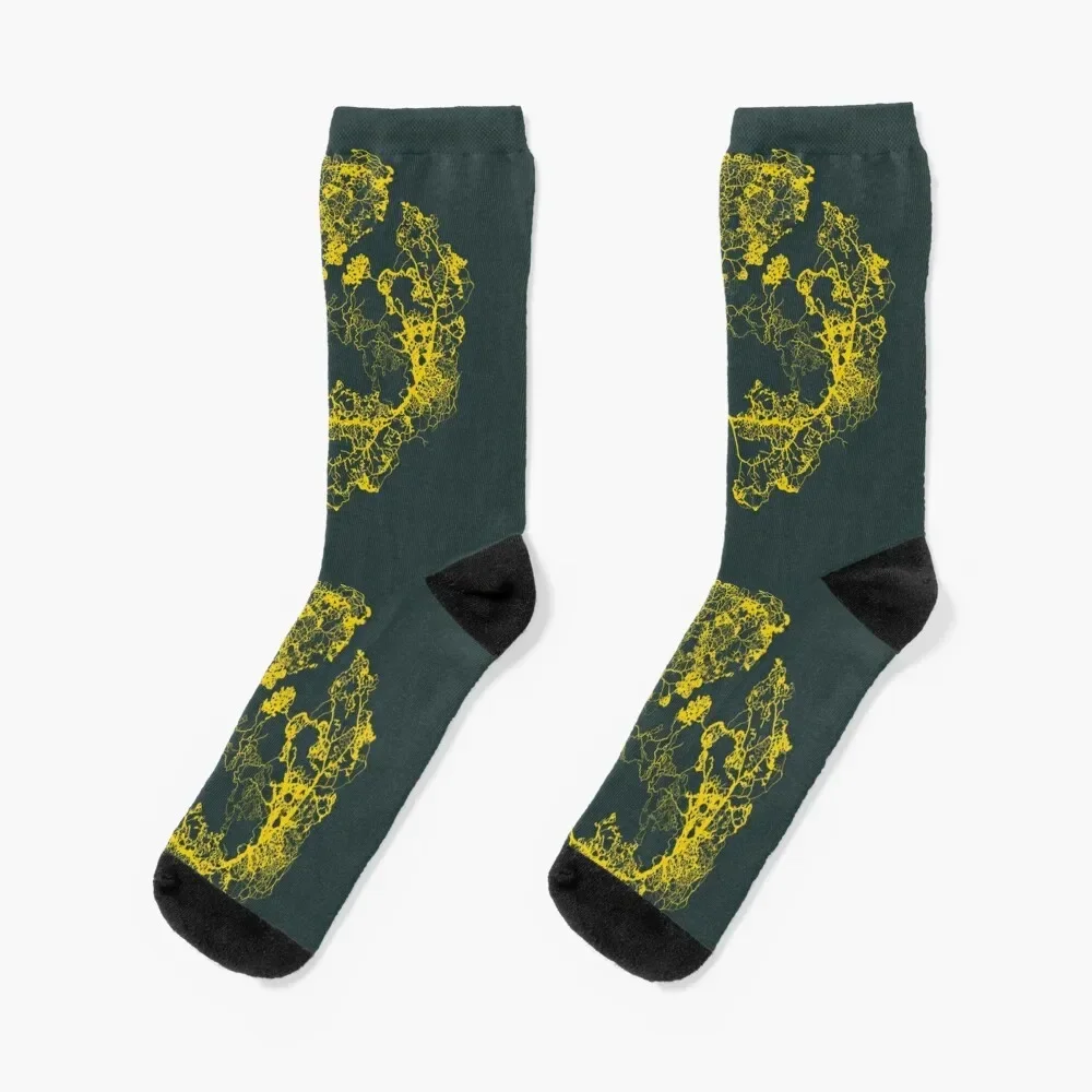 

Physarum Polycephalum II Socks anti-slip cute Hiking boots Argentina Socks Girl Men's