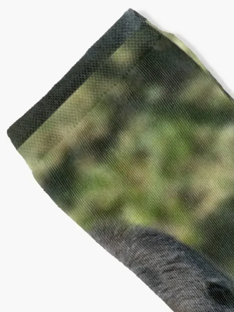 Silverback Gorilla Portrait Socks football sports and leisure kawaii sports stockings Male Socks Women's