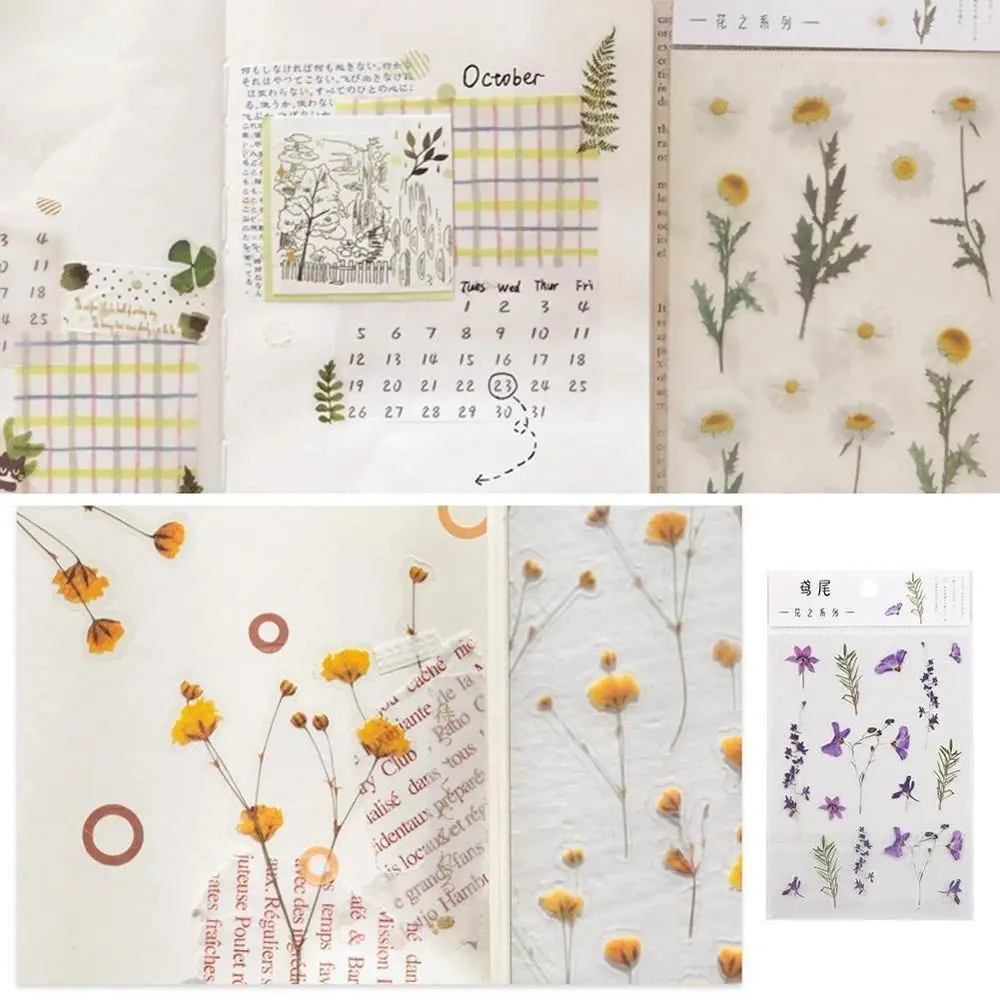 PET Natural Plants Daisy Flowers Leaves Sticker Transparent  Sticker Daisy Sticker Clover Handbook Sticker Deco Sticker