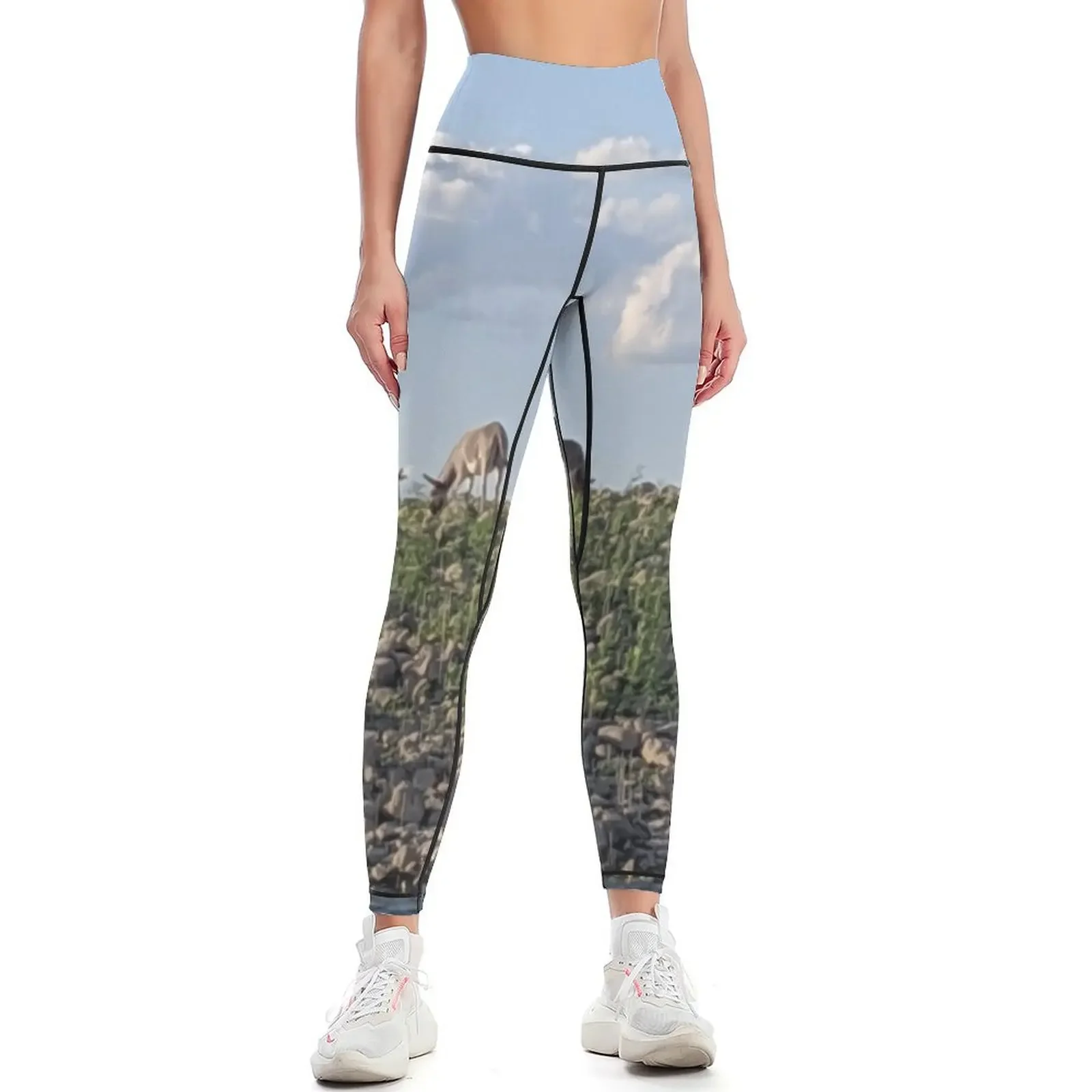 

Donkeys grazing Leggings leggins push up woman fitness set gym Fitness woman Women sportwear Womens Leggings