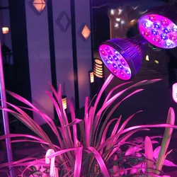 Plantas crescente lâmpadas led cabeça dupla crescer lâmpada de luz vermelho azul uv ir luzes clipe para vegon interior e27 casa verde led indoor growbox