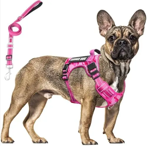 

Tactical Dog Vest & Leash Set for Large Dogs – Heavy Duty, Reflective, Training Ready