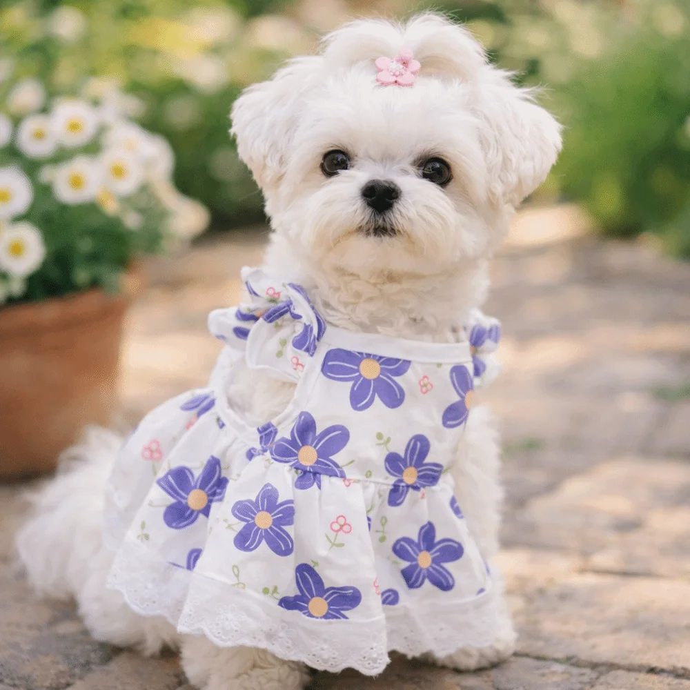 Comfortable Fit Lace-Trimmed Floral Dog Skirt Sweet Style Breathable Su Dog Clothing Soft Pet Flying Sleeve Dress Daily Wear