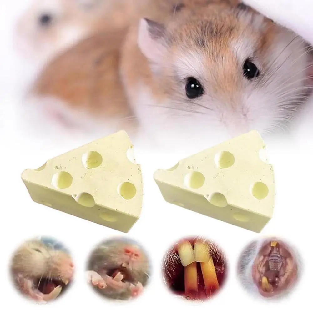 

Hamster Molar Stone Guinea Pig Hamster Rabbit Teeth Grinding Stone Small Pet Care Chew Toys Pets Supplies