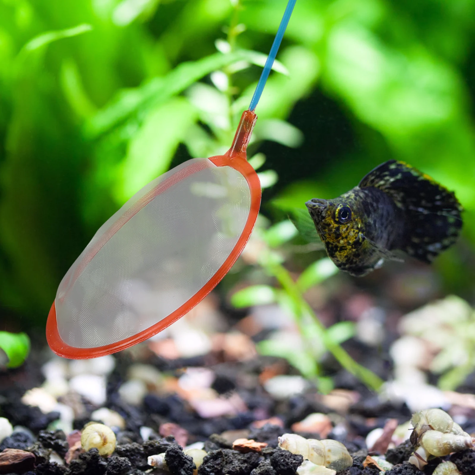 

10pcs Small Fishing Net Portable Catching Tool for Aquarium Fish Tank Fine Mesh H held Nets Plastic Stainless Steel Pet