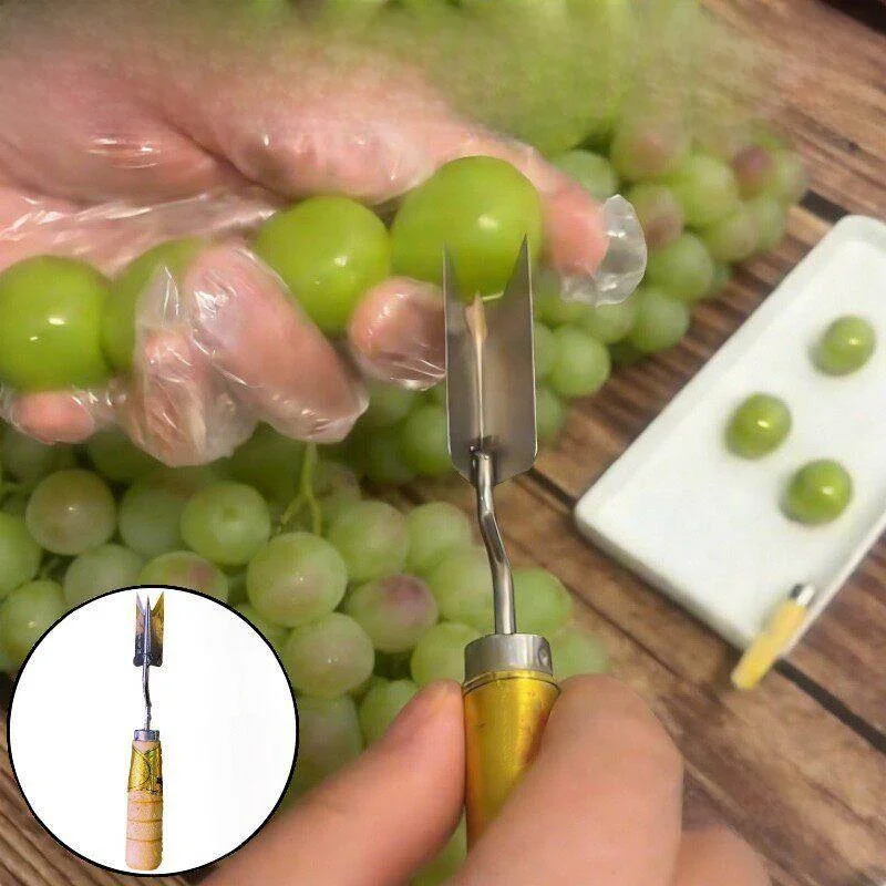 Sunshine Rose Fruit Peeler Efficiency Enhancing Kitchen Tool for Making Dry Yogurt And Fruit Triangles