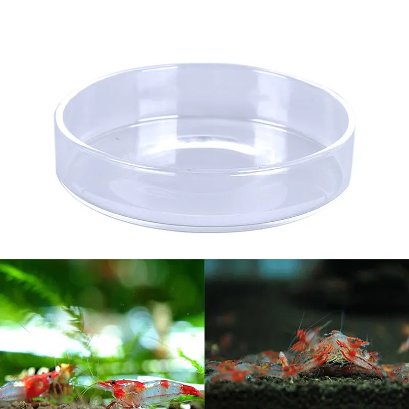 Aquarium Shrimp Feeding Dish Bowls Fish Tank Tropical Fish Ratfish Feeder Round Food Container Clear Glass Dish Tray Water Clean