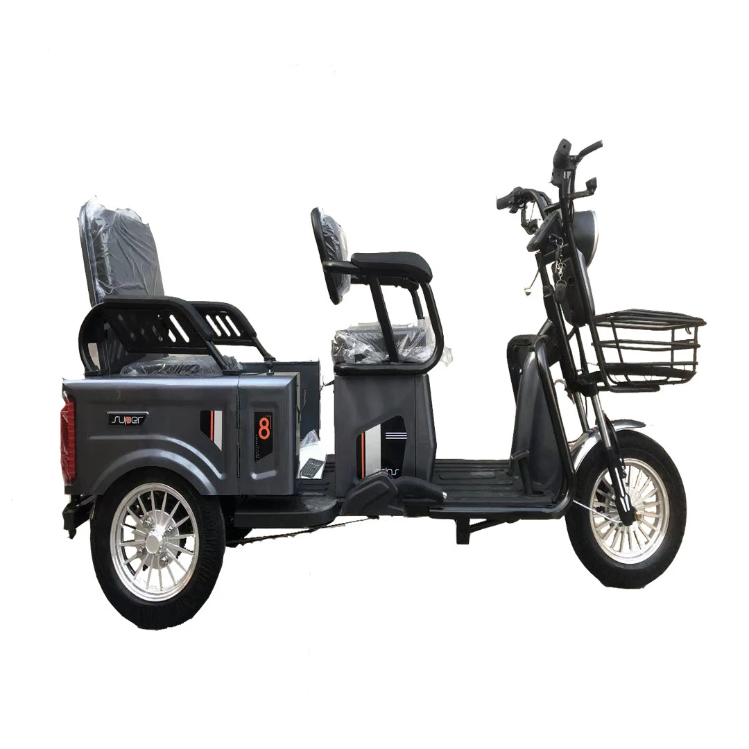 Open 3 Wheels Mobility Electric Cargo Tricycle