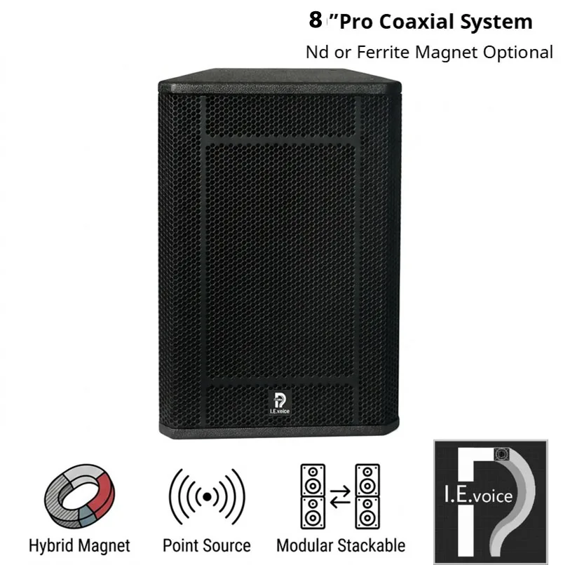 ODM/OEM Professional Custom Hi-Res Audio 8 Inch Professional Active Line Array Speakers