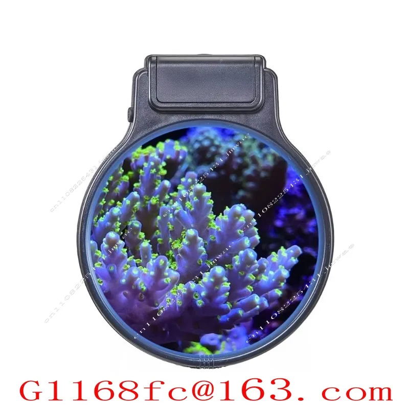 Aquarium Sea Fish Coral Night Vision Pastel Reef Magnifying Glass