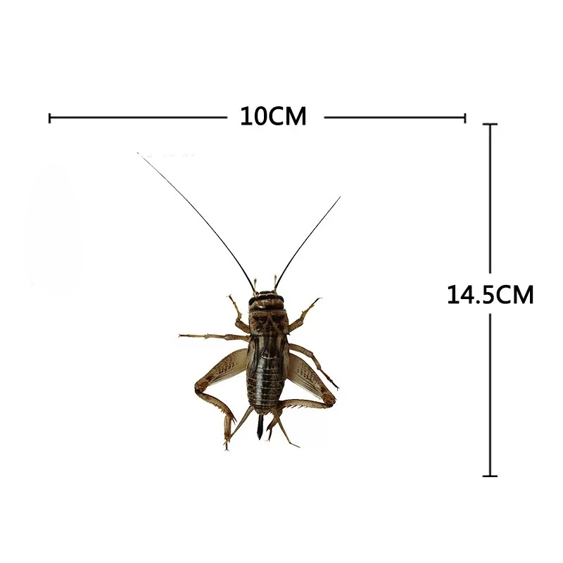 3d Künstliche Insekten Motorrad Aufkleber Front Gugel Kraftstoff Tank Seite Verkleidungen Dekoration Vinyl Aufkleber Tier Motor Zubehör