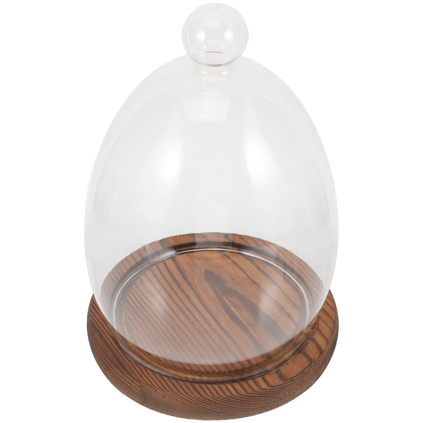 

Egg Dome with Wood Base Clear Decorative Cover for Flowers Micro Landscape Indoor Desktop Ornament Storage Jar