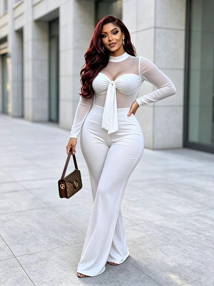 Women Mesh Jumpsuit Long Sleeve V Neck Front High Waist Wide Leg Pant Quiet Luxury Clothing One Piece Ladies Elegant Adult
