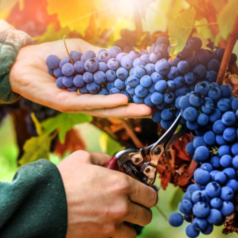 

Линейка-измеритель высоты подвески и угла наклона из алюминиевого сплава 2-в-1 (BU) для радиоуправляемых моделей 1/10, 1/8, 1/16, 1/14 (туристические и дрифт-машины)