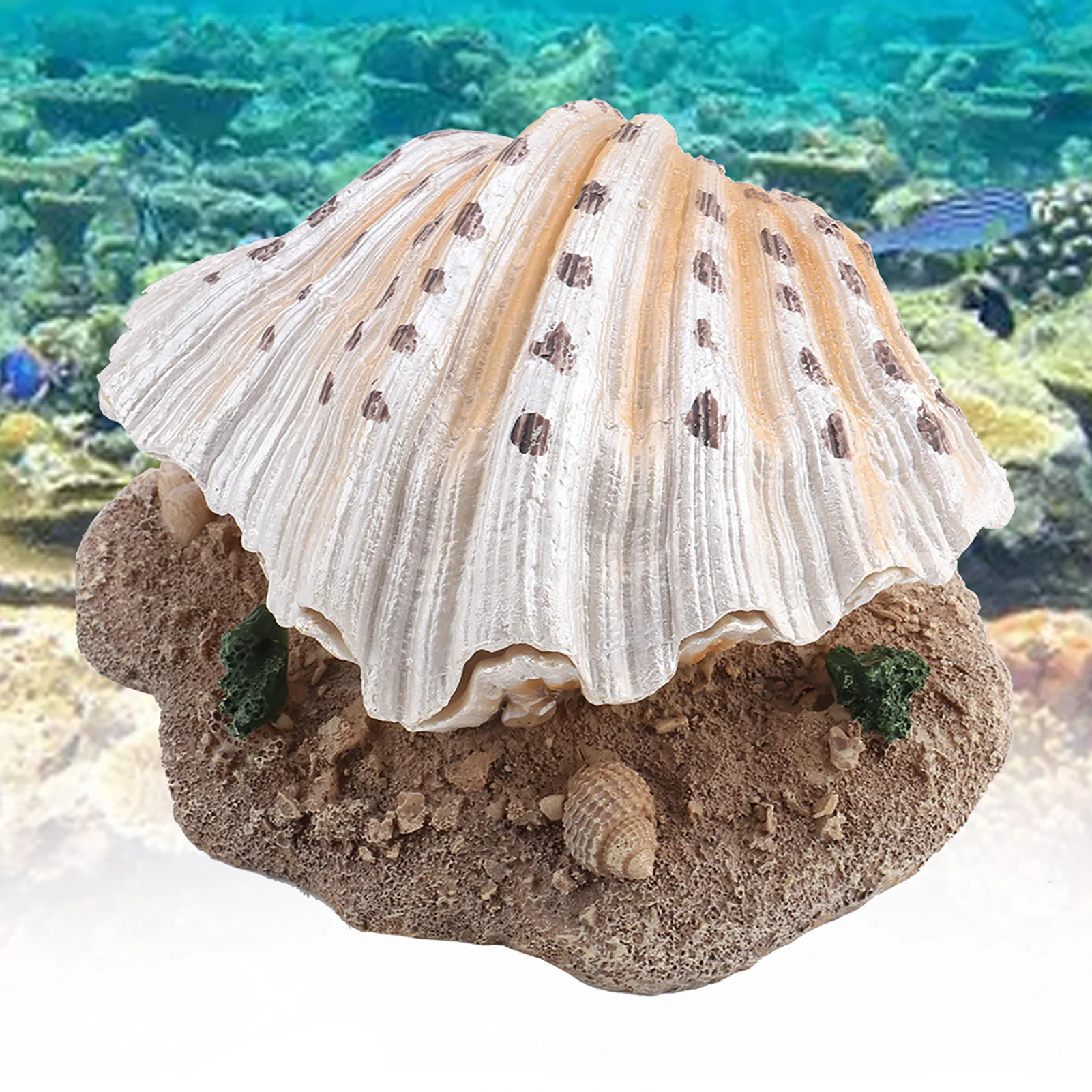 Aquarium Decoration Coral  Aerating Action Ornament Fish  Shell Pearl Bubbler Decor Fish  Shell Decor