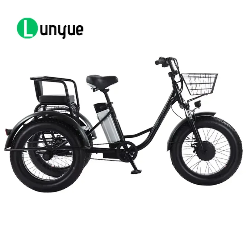 500W 750W Electric Tricycle for Adults 48V 3 Wheel E Bike Pedal Assist Ebike Trike Motorcycle for Commuting Shopping