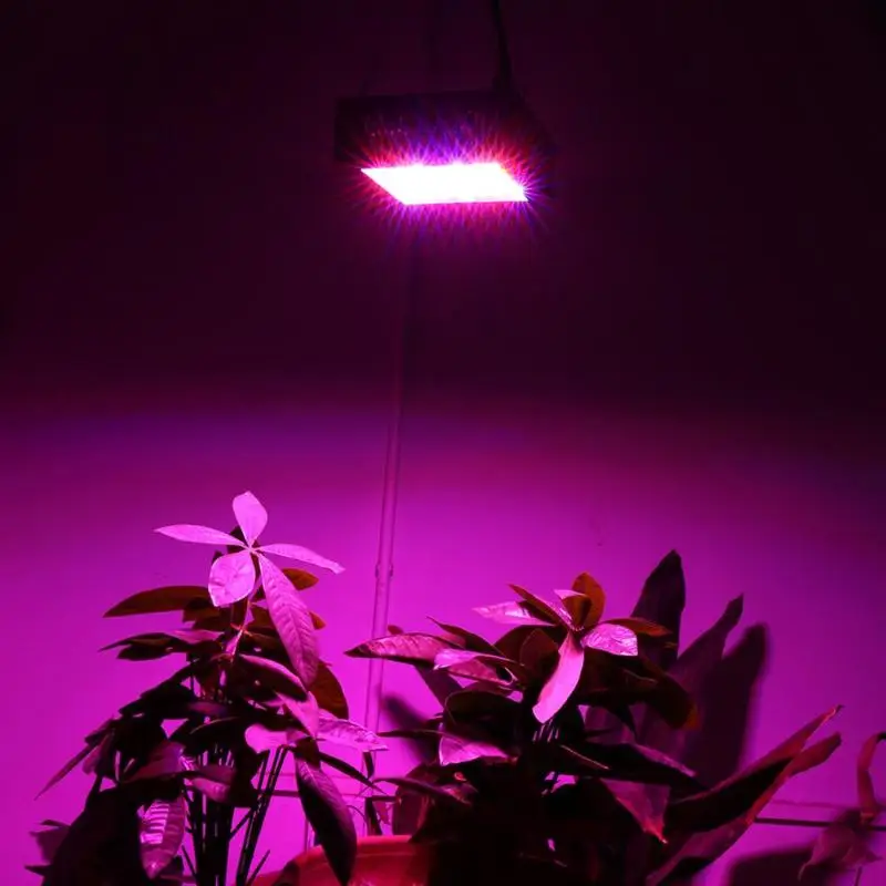 80W LED Grow Light 42leds IP66 Indoor Hydroponic System Fruits Grow Lamp For Greenhouse Flowering and Growing Vegetables Light