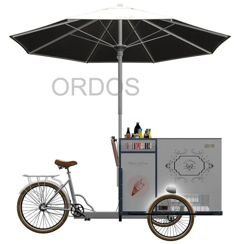 

New attractive refrigerated tricycle bike with 110v AC freezer Customized Pedal or Electric Version