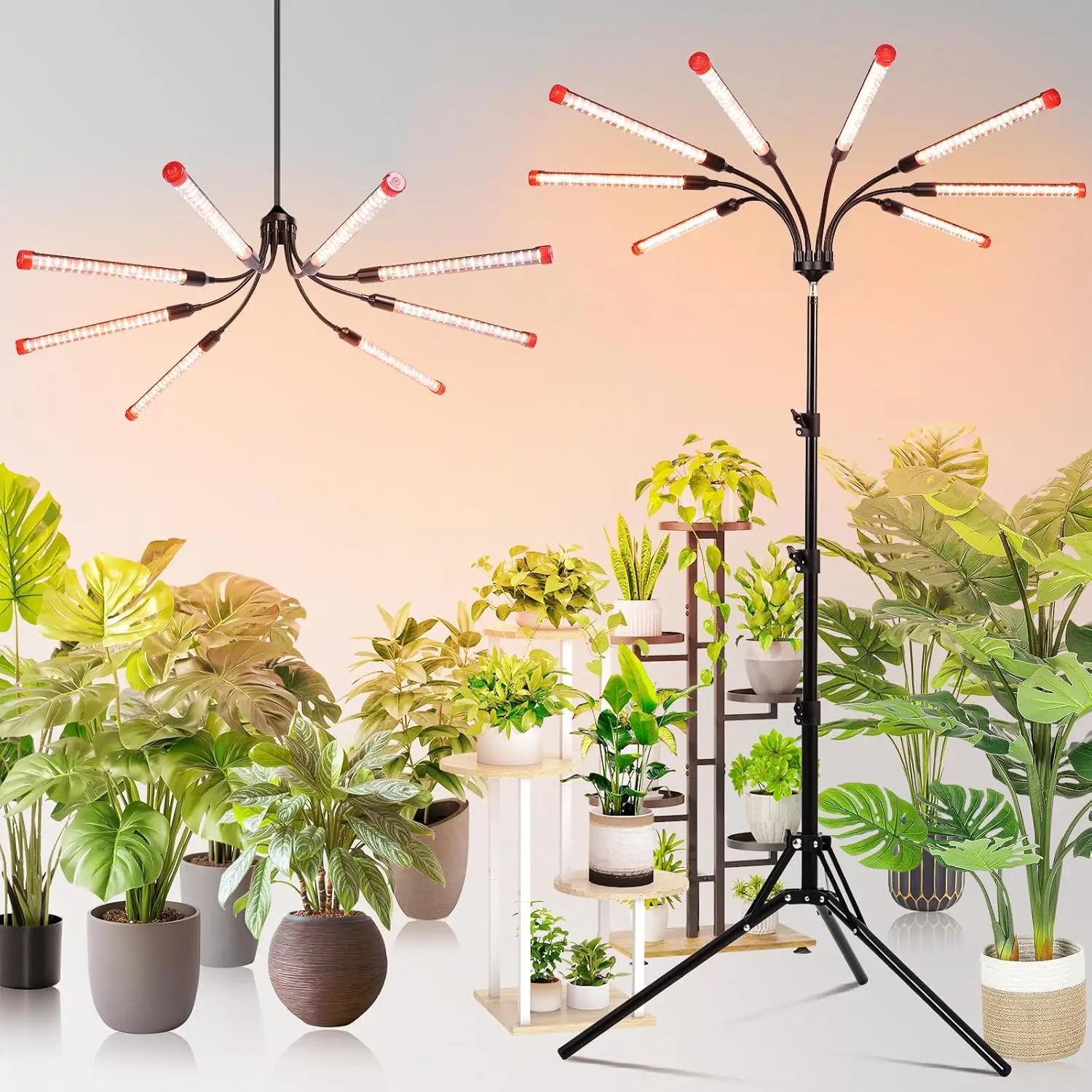 

72W Full Spectrum LED Grow Light with Timer & Stand, Adjustable Height for Indoor Plants, Bonsai Trees
