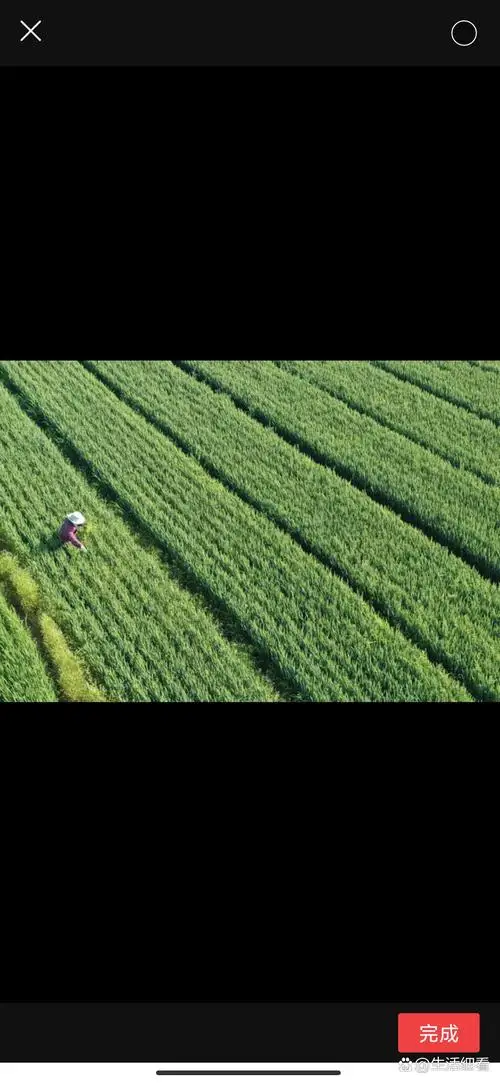 

4 шт., 1,0 дюйма, металлический обод колеса с бусинами, резиновые шины, подарочные шестигранные шины для RC 1/24 Axial SCX24 C10 90081 AXI00001 AXI00002 Micro Crawler Car