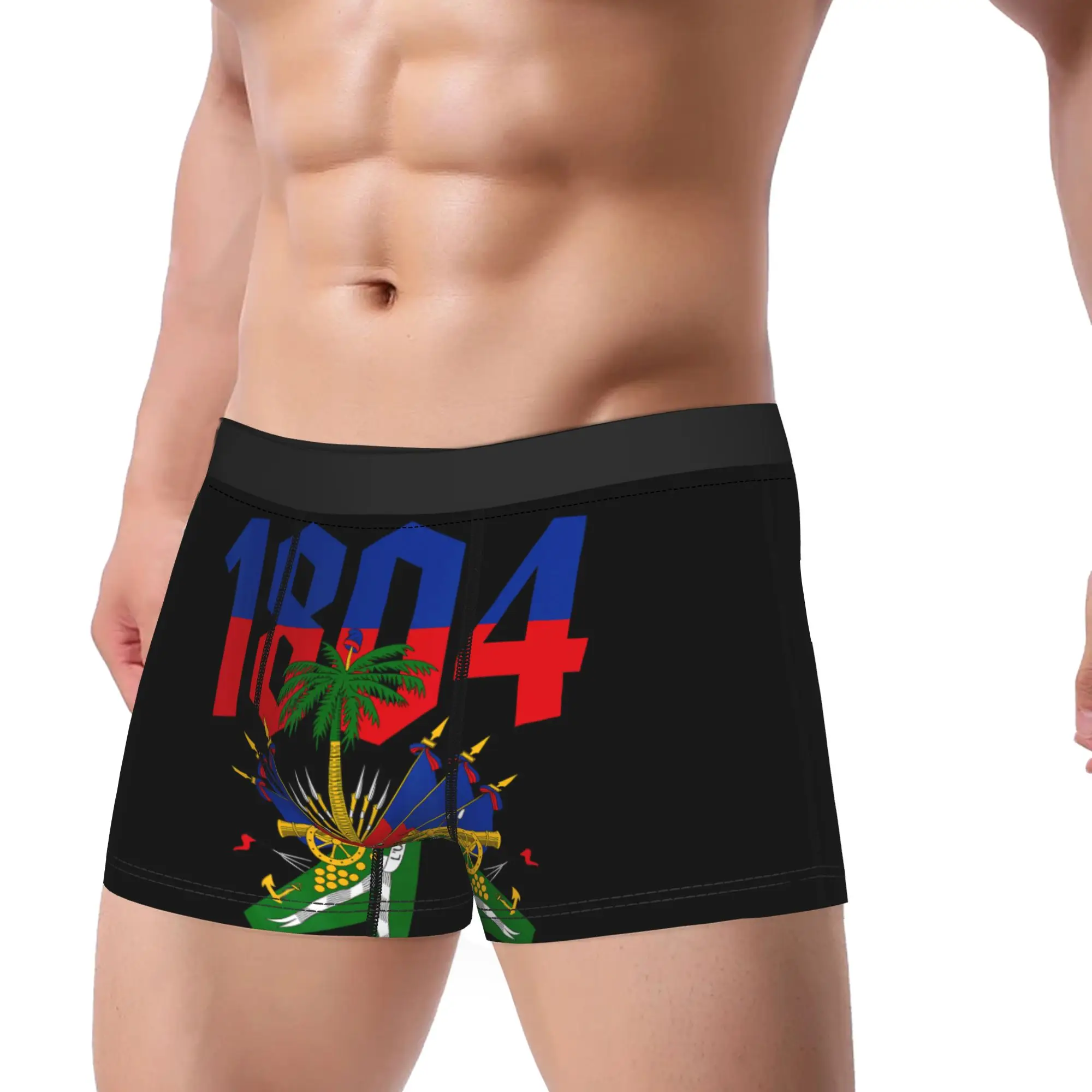 Haitian Revolution 1804 Haiti Flag Independence Day Underwear Male Panties Soft Trend Boxer Shorts Boxer Brief Plus Size