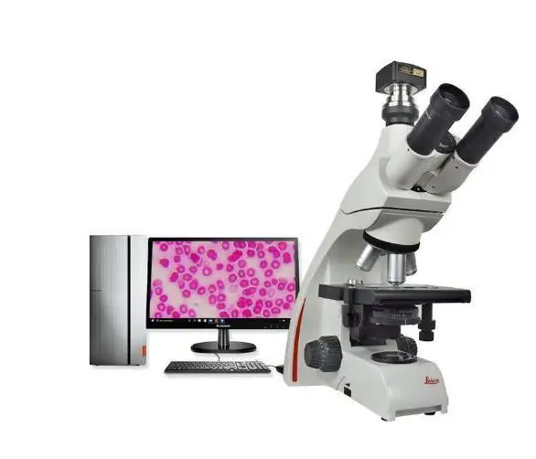 

Germany Leica DM750 Laboratory Biological Trinocular Thermostat Microscope For Veterinary