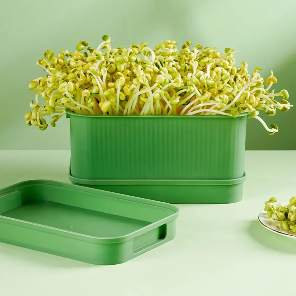 

Soilless Cultivation Sprouts Growing Tray Sprout Planting Helper Convenient Sprouting Tray Horticultural Tool Reusable