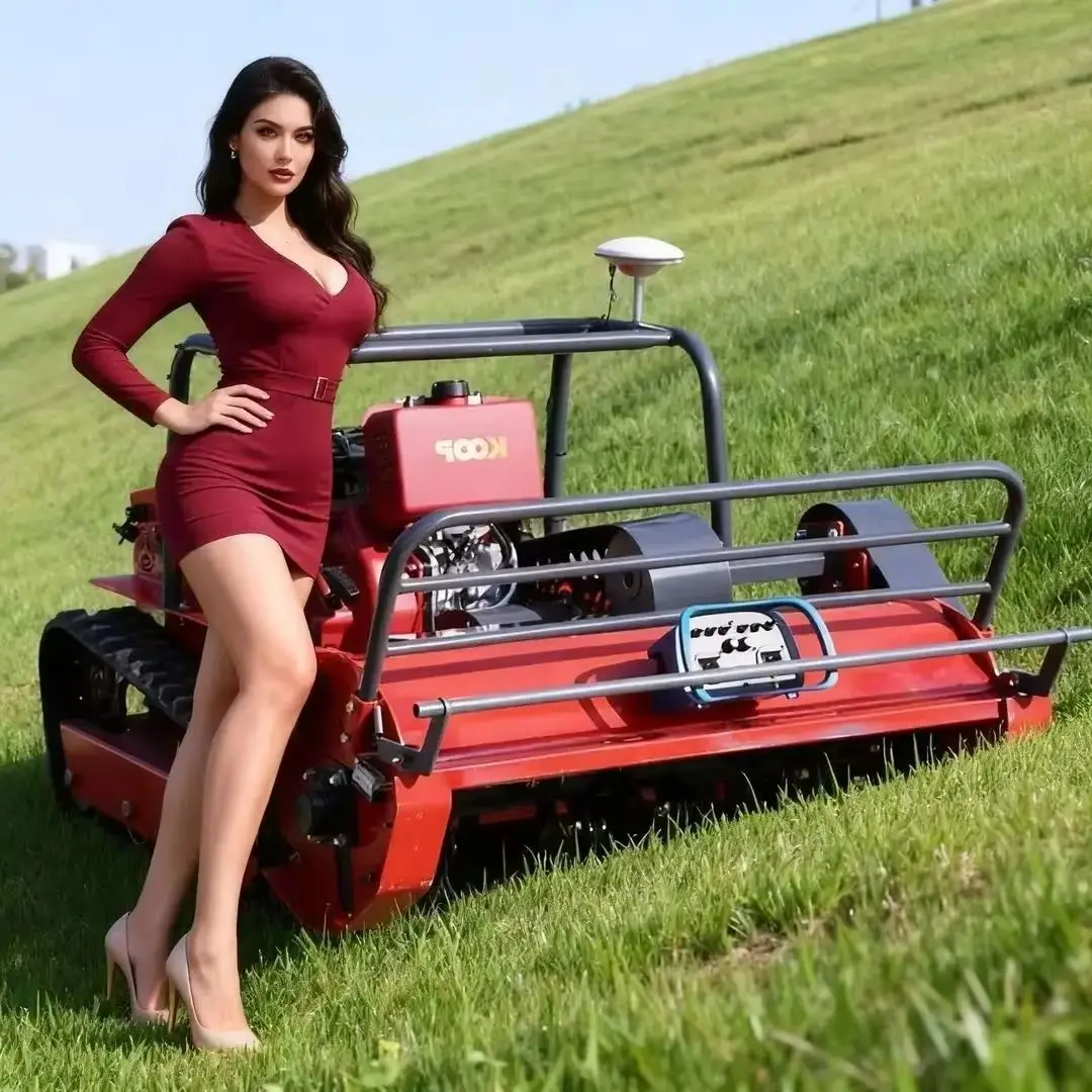 

Customized Remote Control GPS Automatic Flail Lawn Mower Robot Grass Cutting & Crushing CE EPA Certification Multi-Color