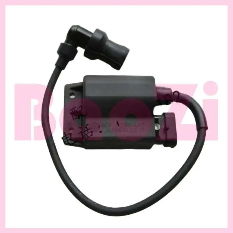 

Ignition Assembly for Zonsen Piaggio Byq100t-e 100t-3 Fly100