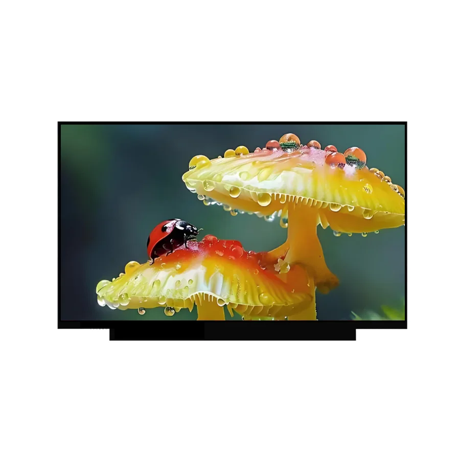 13.3-inch HD 1920x1080 IPS LCD Display EDP Interface for Smart Central Control System Screen