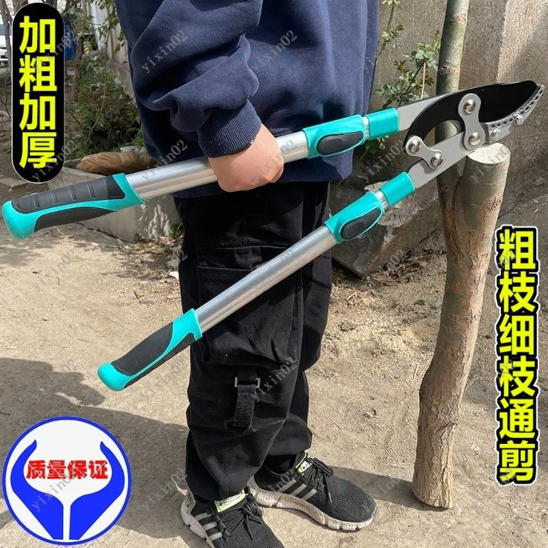 

Heavy Duty Garden Pruning Shears for Branches Fruit Tree Trimming Tools