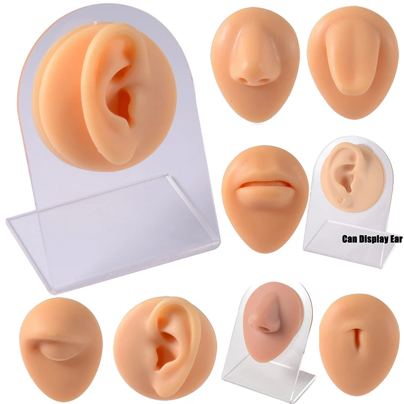 Simulation de Silicone souple 1:1, 1 pièce, modèle d'oreille, nez, nombril, mamelon, outils de perçage, affichage de bijoux, outil d'enseignement, accessoires