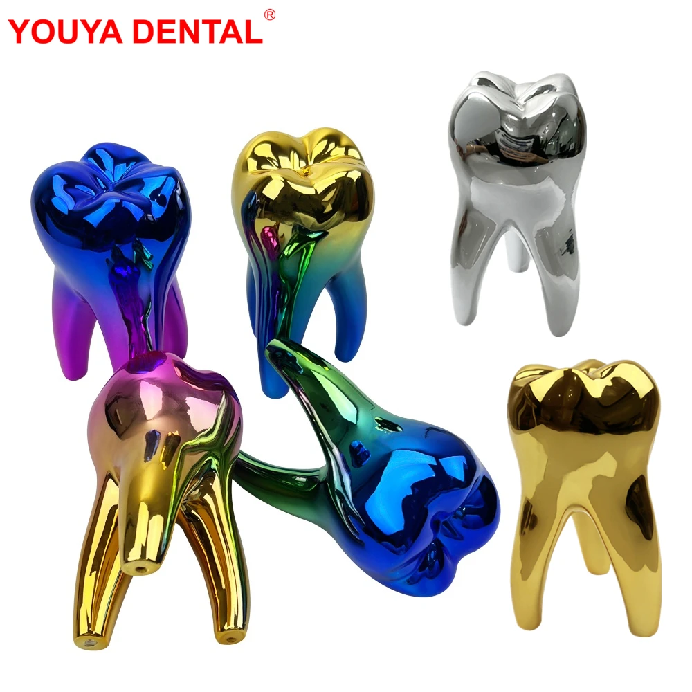 

Dental Decoration Clinic Personalised Office Table Decor Teeth Model Figurines Ornament Dentistry Decoration Accessories Gift