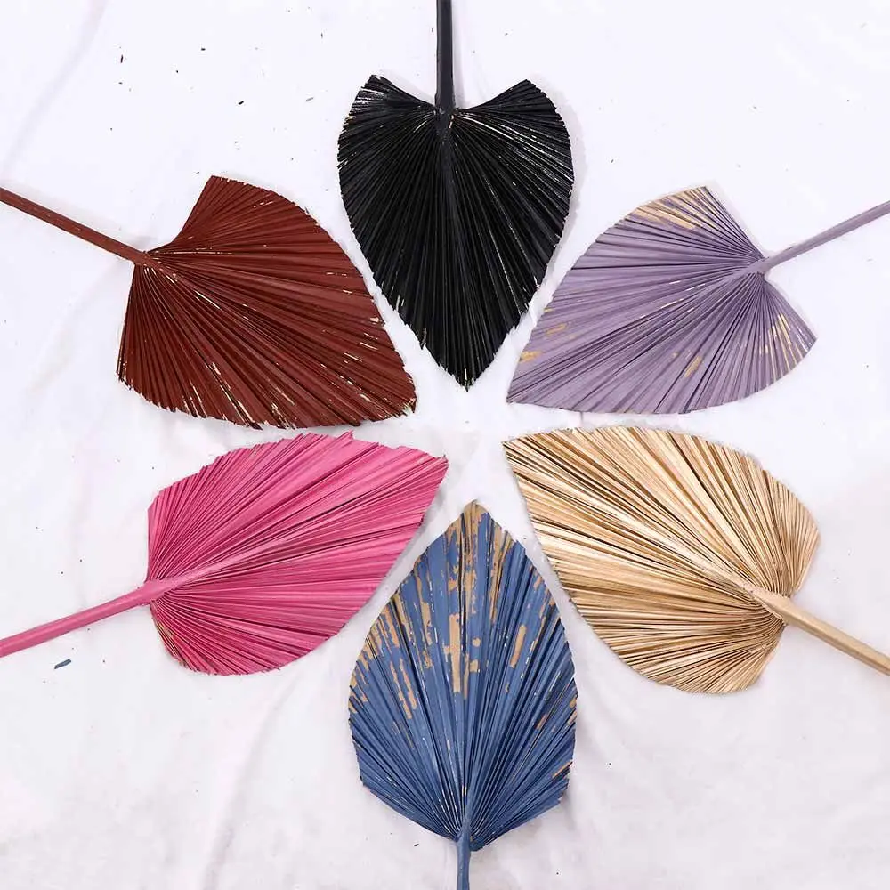 1 Pcs Bohemian Tropical Fan Leaf Colorful Palm Spears Dried Plant DIY Natural Trimmed Party Decoration Leaves